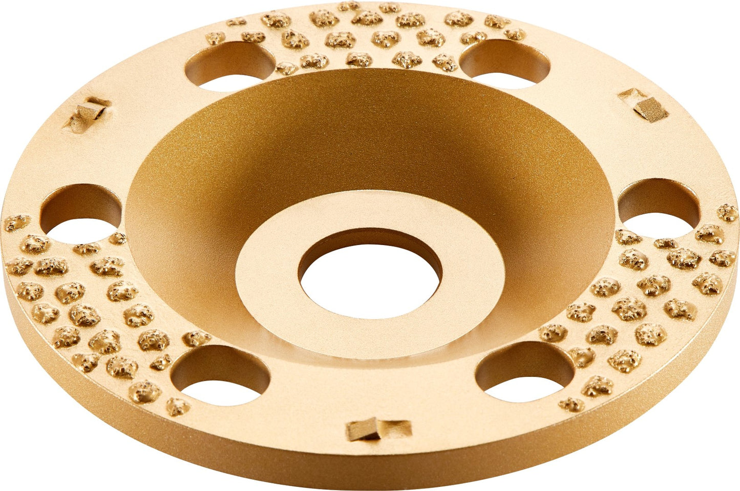 FESTOOL CUP WHEEL FOR THICK LAYERS OF PAINT (WEATHERBOARD) 204176
